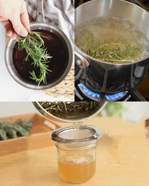 Rosemary: The Versatile Herb Transforming Home Life🌱