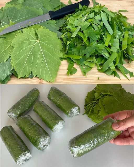 The Incredible Health Benefits of Grape Leaves🌱