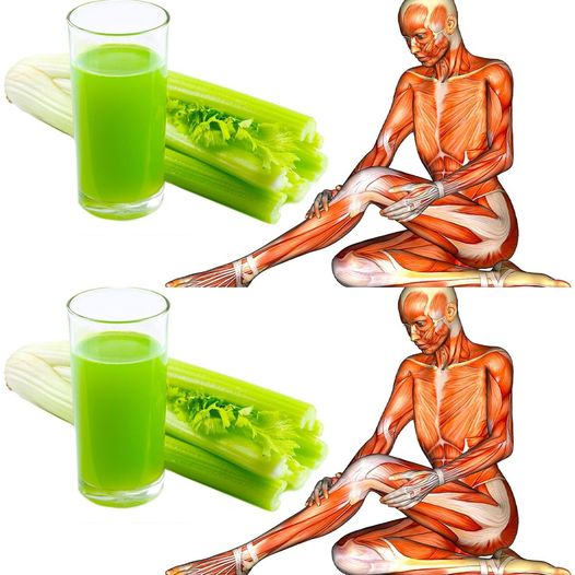 What Happens When You Drink Celery Juice Every Morning🌱